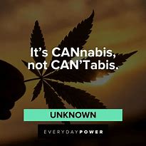 Image result for Stoner Sayings