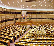 Image result for Italian Parliament Inside