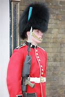 Image result for Alice Changing Guards at Buckingham Palace