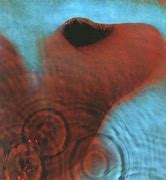 Image result for Pink Floyd Meddle Back Cover