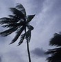 Image result for hurricane season florida