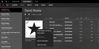Image result for Amazon Music Playlist