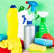 Image result for Home Cleaning Products