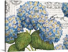 Image result for Hydrangea Canvas Wall Art