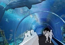 Image result for STL Aquarium