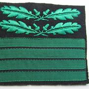 Image result for Waffen SS Patch
