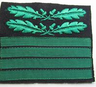 Image result for Marine Rank Insignia