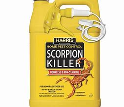 Image result for Scorpion Control