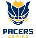 Image result for Indiana Pacers Merchandise