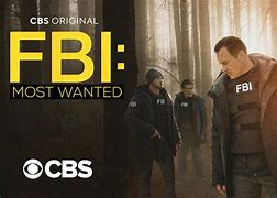 Image result for FBI Most Wanted Episodes