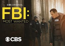 Image result for FBI 100 Most Wanted