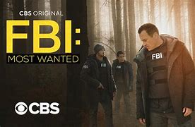 Image result for FBI Most Wanted TV Show Season 4 Poster