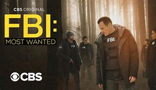 Image result for FBI Most Wanted Show