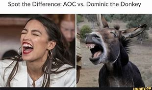 Image result for AOC Donkey Meme