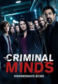 Image result for Criminal Minds Season 1 Poster