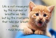 Image result for Cute Life Inspiring Quotes