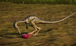 Image result for Compy Jurassic World Fallen Kingdom
