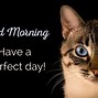 Image result for Good Morning Funny Cute