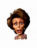 Image result for Nancy Pelosi Wig