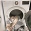 Image result for Washer and Dryer Top View