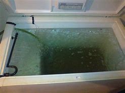 Image result for Commercial Bait Store Minnow Tanks