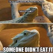 Image result for Chinese Water Dragon Funny Memes