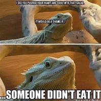 Image result for Bearded Dragon Funny Quotes