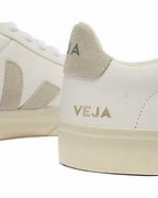 Image result for Veja Canvas Shoe Style