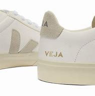 Image result for Veja Shoes Side Open