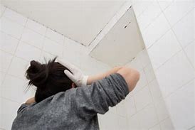 Image result for Mold On Ceiling above Shower