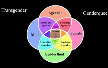 Image result for images gender spectrum