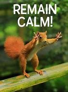 Image result for Stay Calm Funny Meme