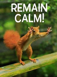 Image result for Keep Calm and Funny
