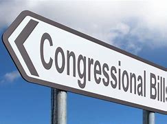 Image result for Congressional Lapel Pin