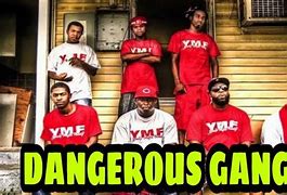 Image result for Most Dangerous Gangs