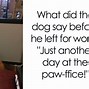 Image result for Funny Dog Jokes One-Liners