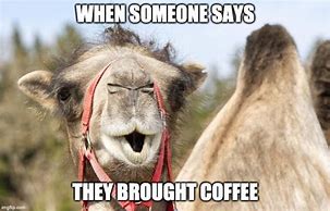 Image result for Hump Day Wednesday Humor Coffee