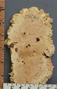 Image result for Rockler Maple Lumber By The Piece, 1/4" X 5" X 48"