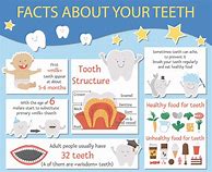 Image result for Fun Kid Facts About Teeth