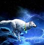 Image result for Cool Animal Wallpapers