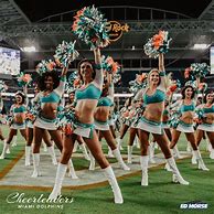 Image result for Miami Dolphin Cheerleader 2018 Diana