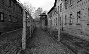 Image result for SS Guards at Auschwitz