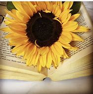 Image result for Sunflower Book
