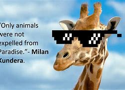 Image result for Funny Giraffe Quotes