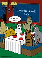 Image result for Scott Metzger Cat Cartoons