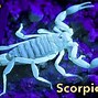 Image result for Scorpion Eyesight