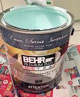 Image result for Mold Paint Home Depot