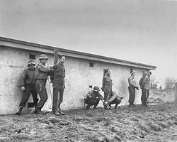 Image result for World War 2 German Firing Squad