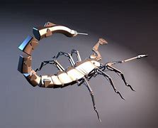 Image result for Robotic Scorpion Stingers