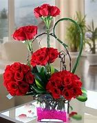Image result for Valentine Flower for FB for Senior Citizen